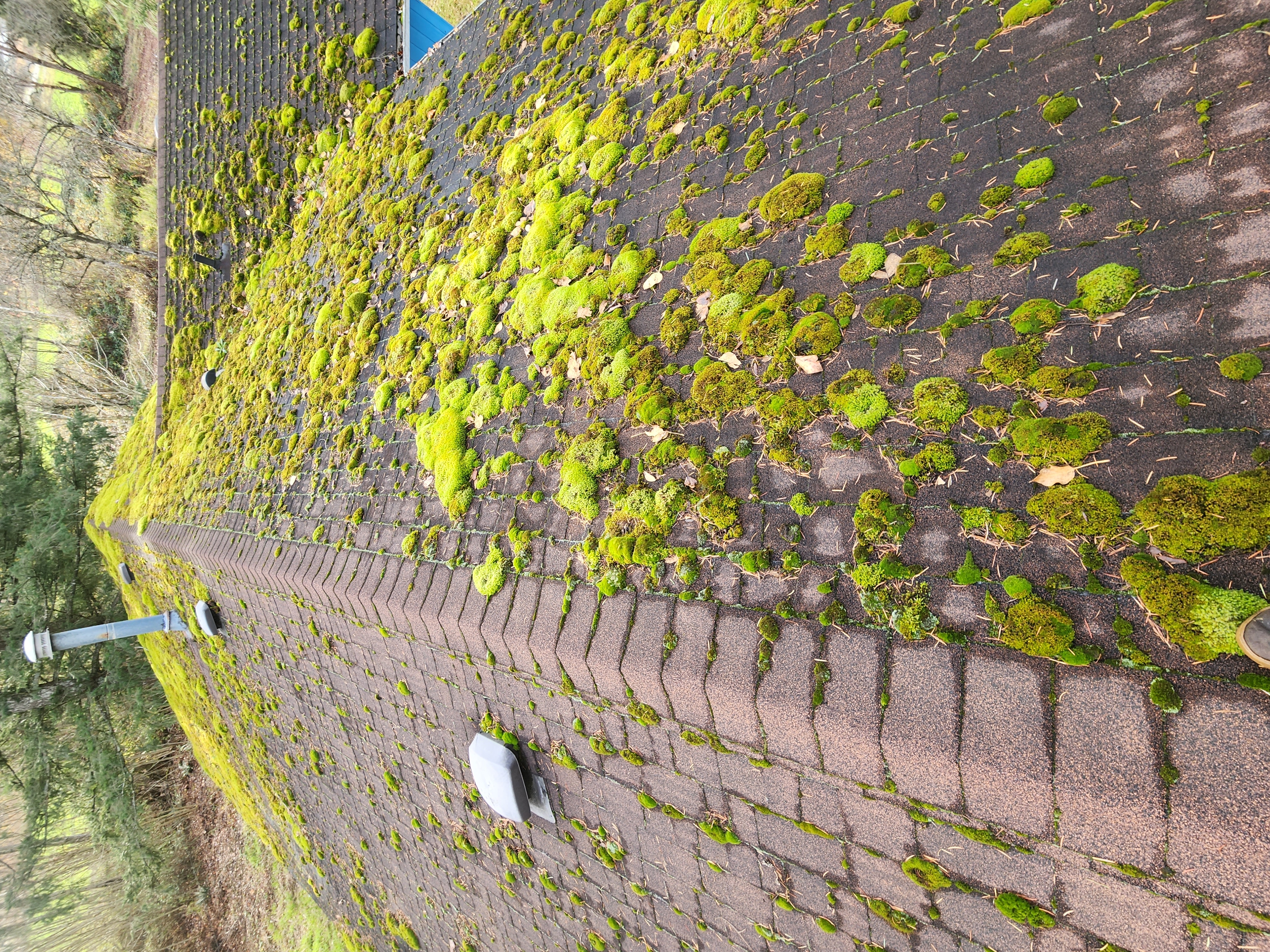 Fraser Valley Mountain View